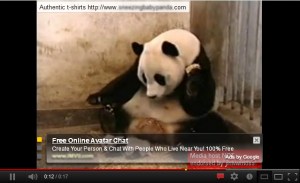 sneezing panda wtf