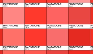 imperial guard close