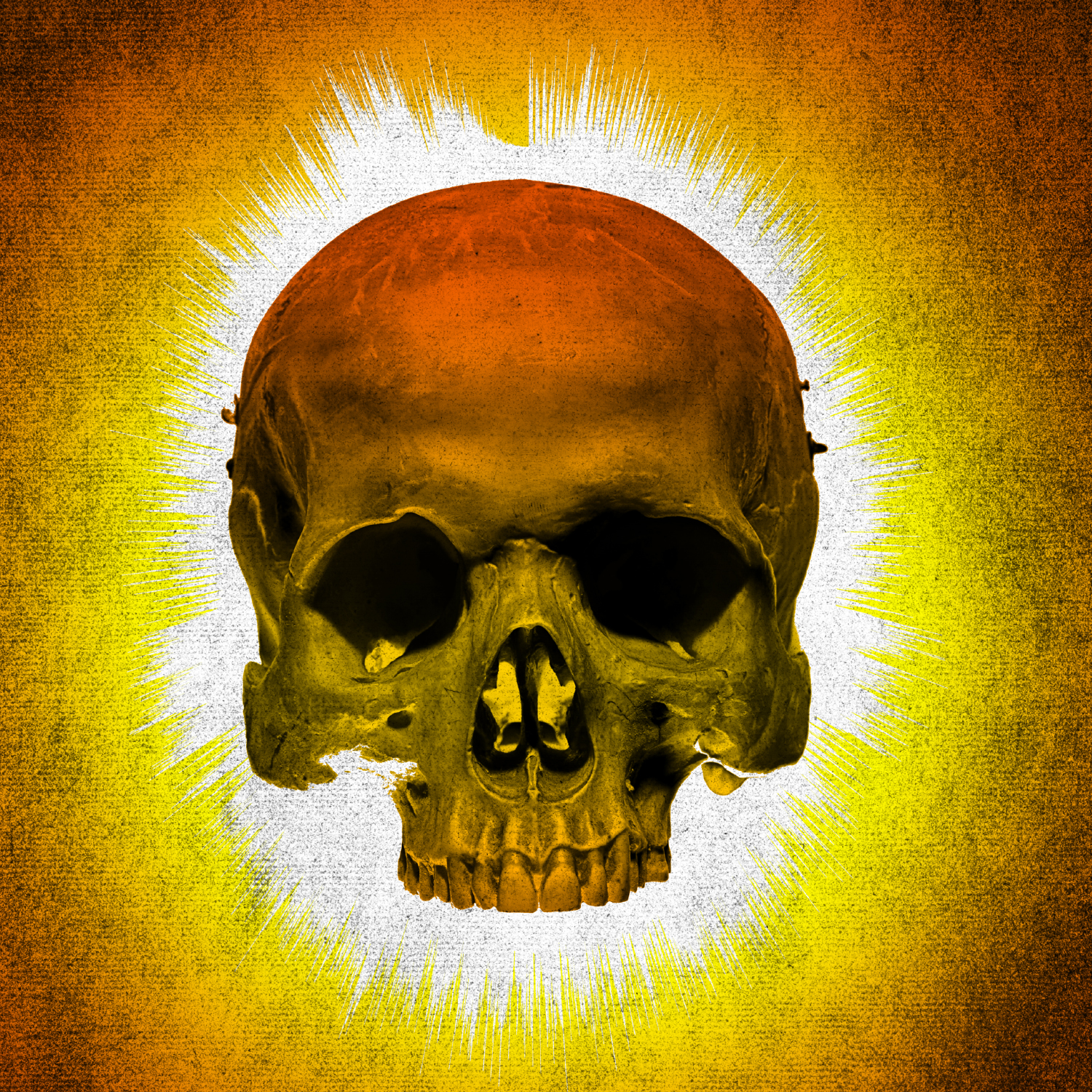 Iggy Pop - The Passenger skull ring.jpg