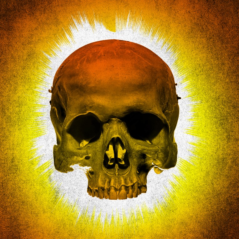 Iggy Pop - The Passenger skull ring.jpg